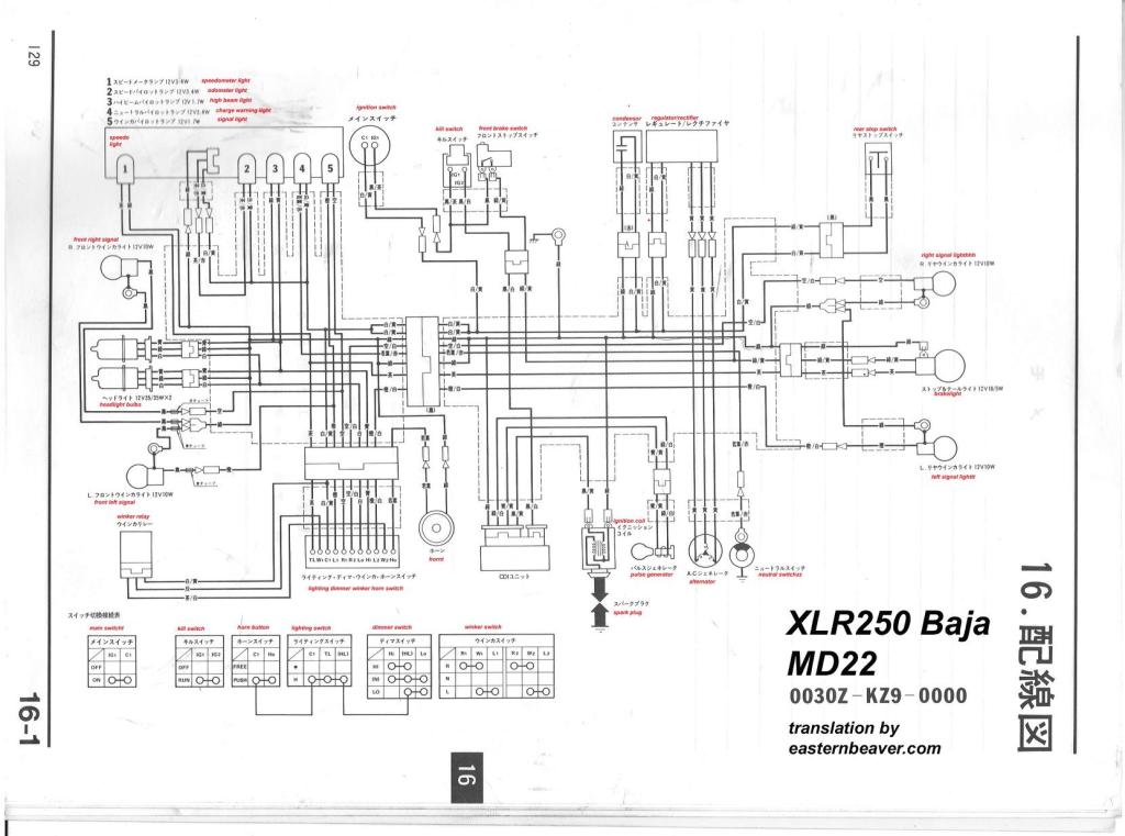 ������������� �����������