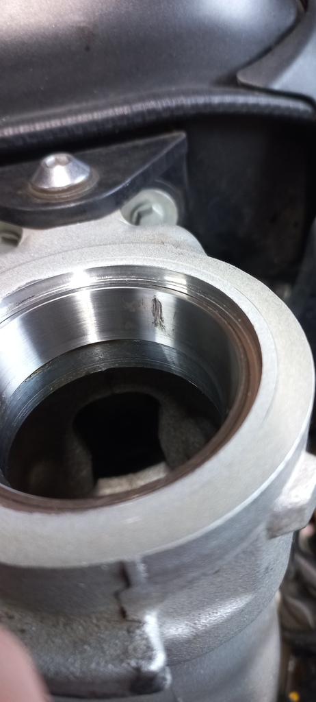 ������������� �����������