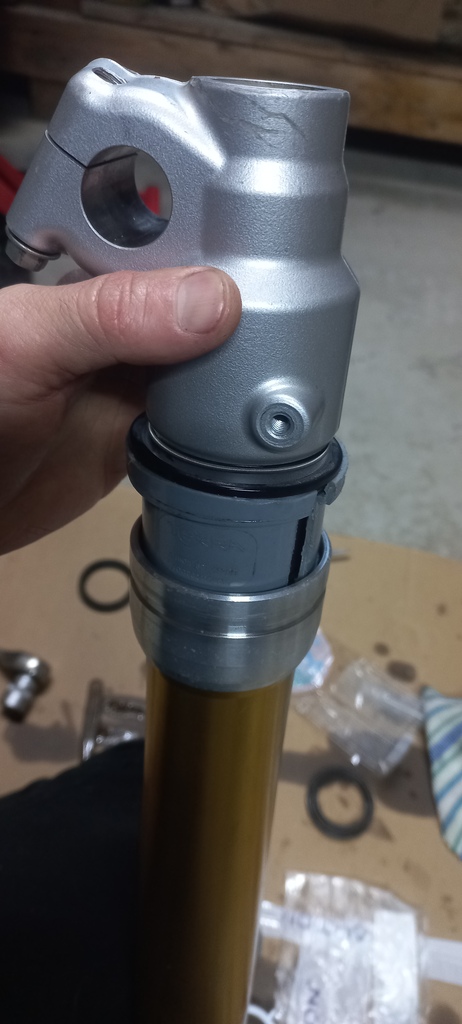 ������������� �����������