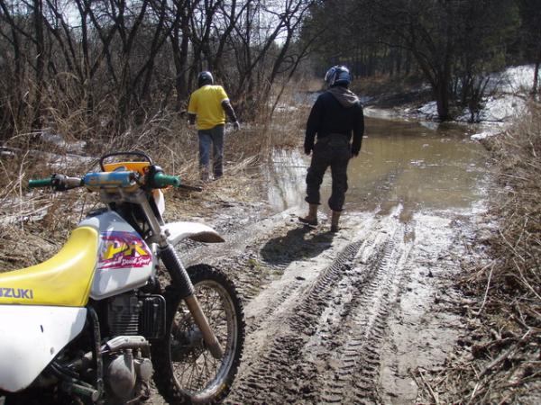 ������������� �����������