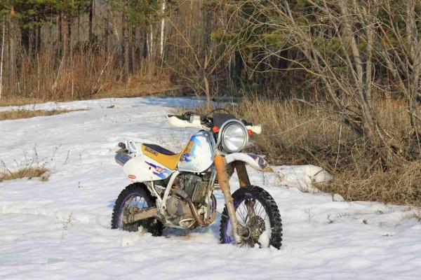 ������������� �����������