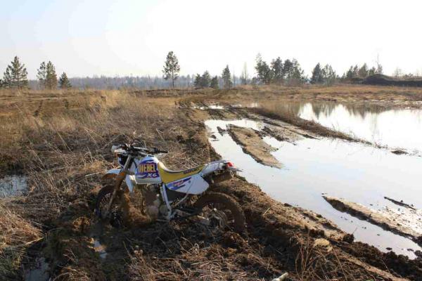 ������������� �����������