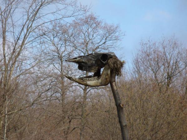 ������������� �����������