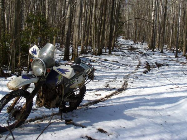 ������������� �����������