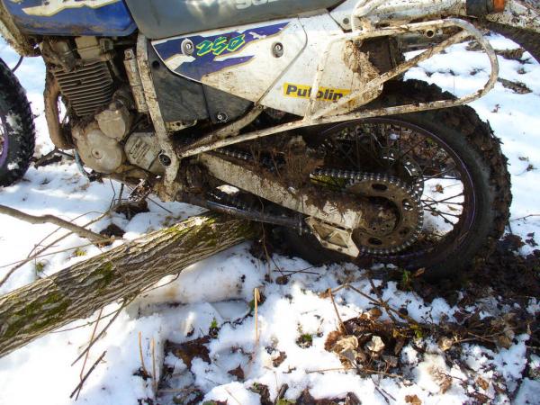 ������������� �����������