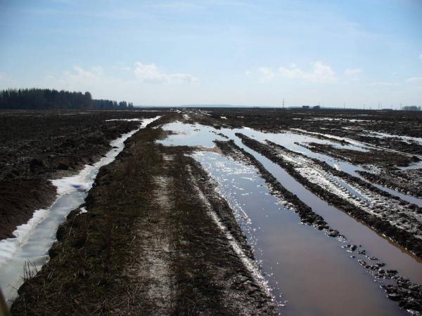 ������������� �����������