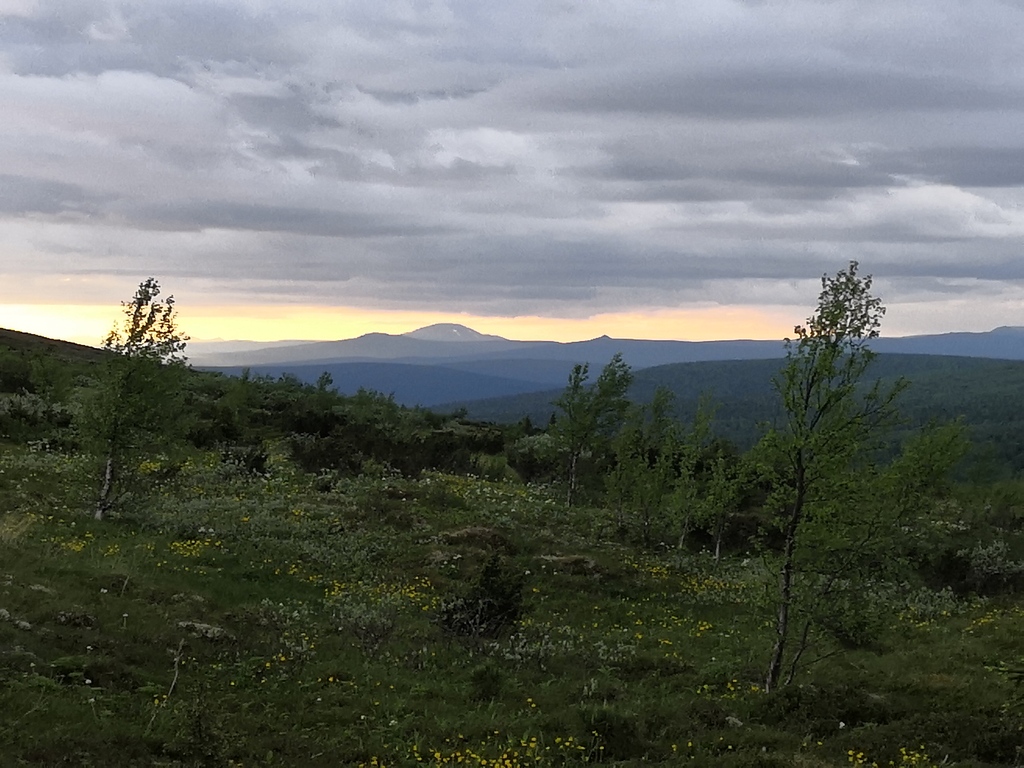 ������������� �����������