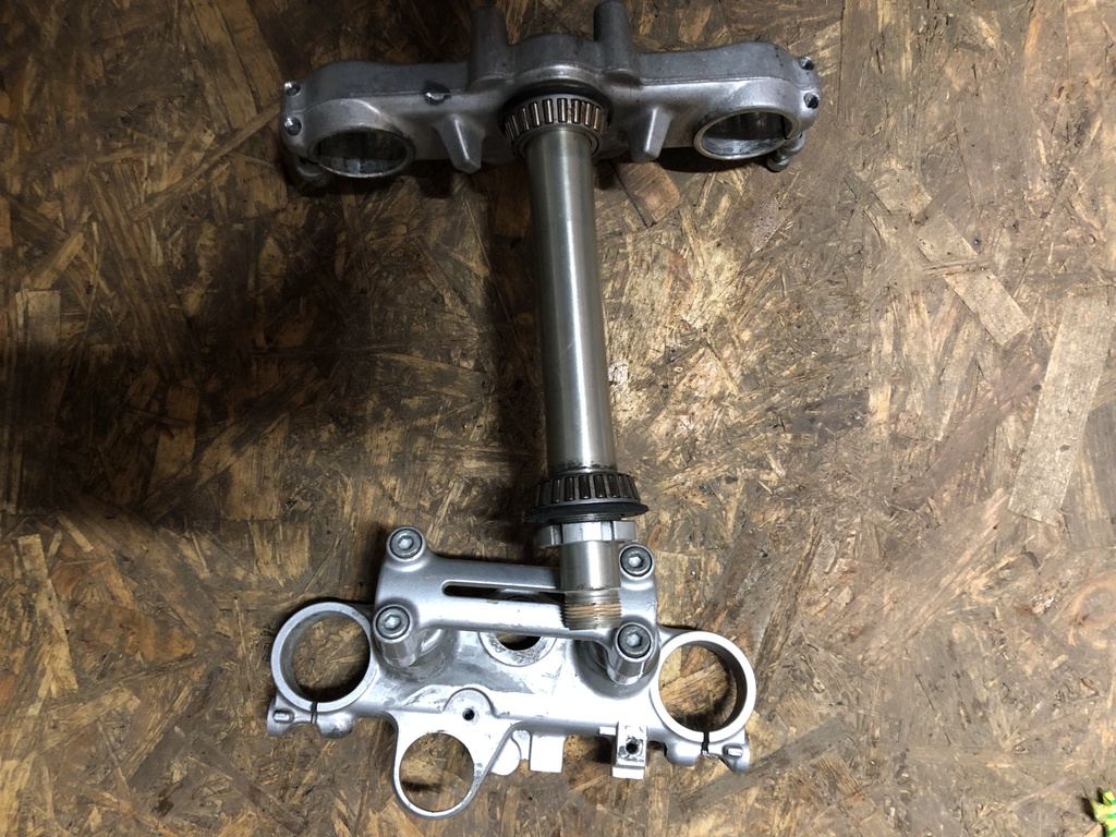 ������������� �����������