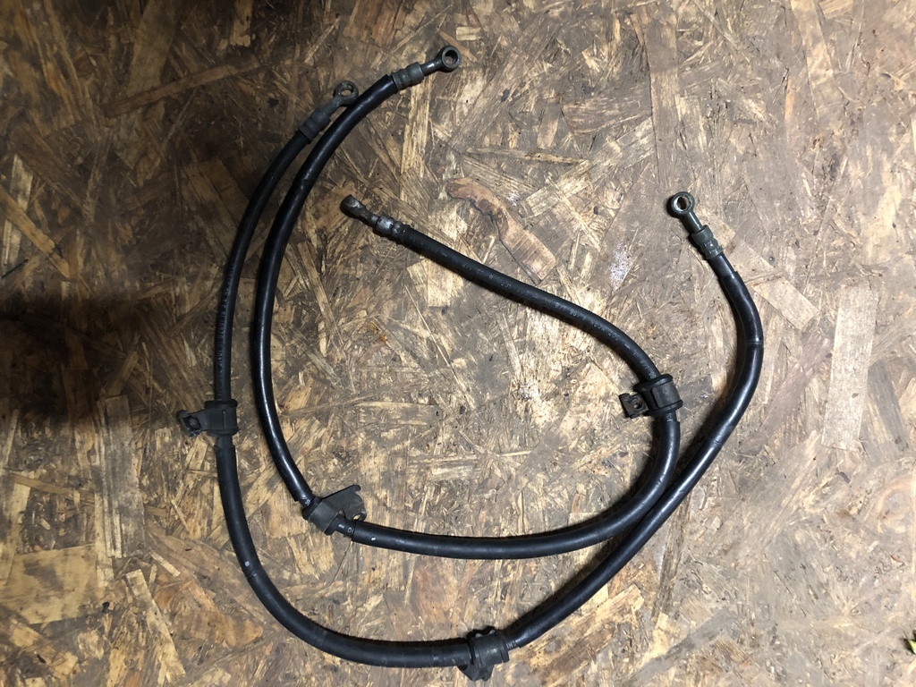 ������������� �����������