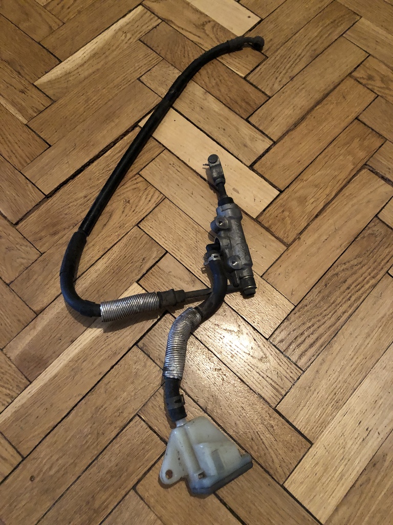 ������������� �����������