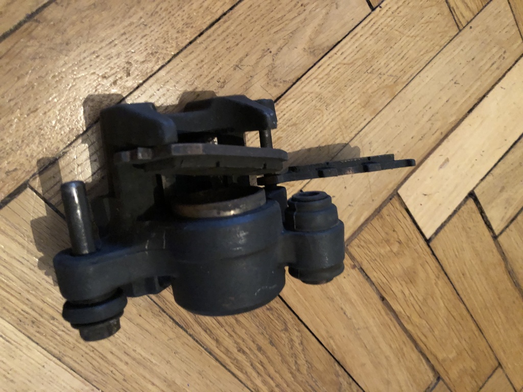 ������������� �����������