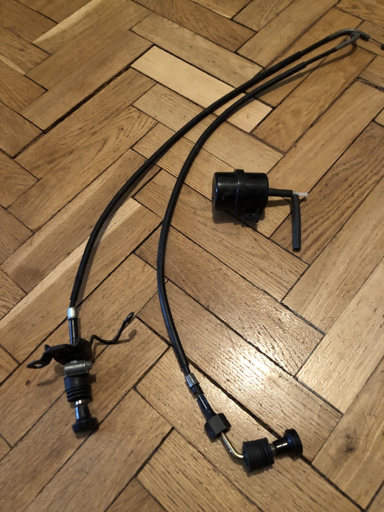 ������������� �����������