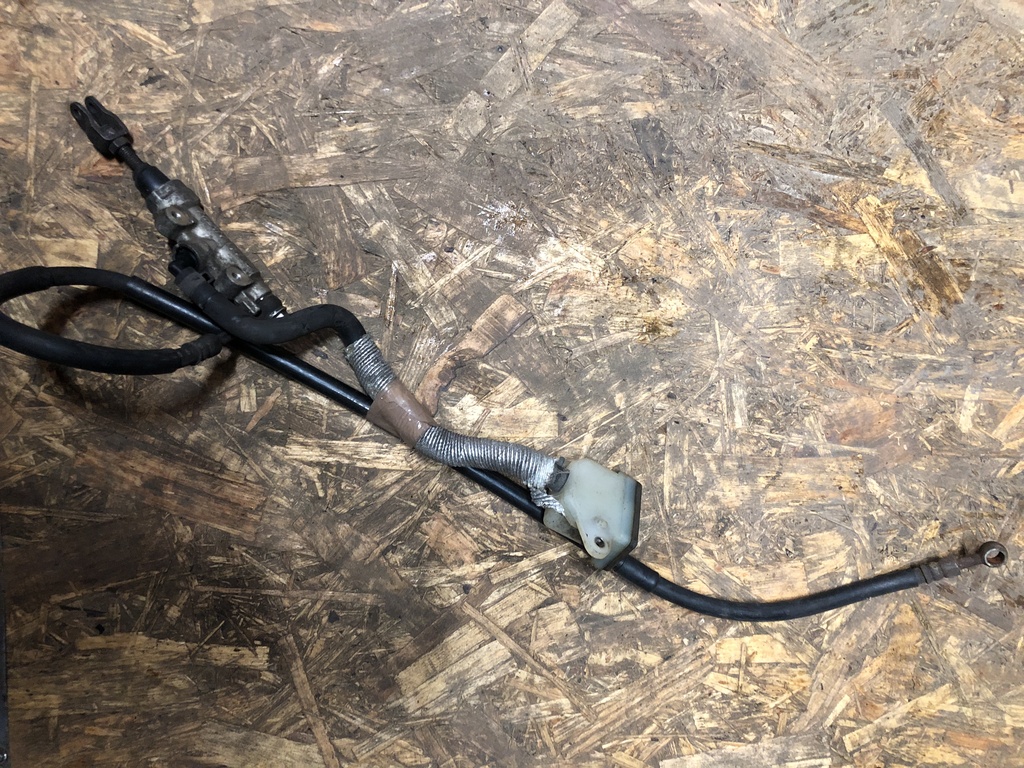 ������������� �����������