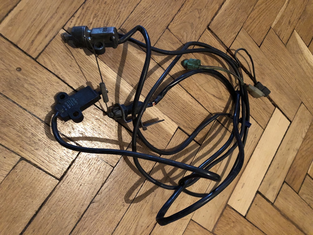 ������������� �����������