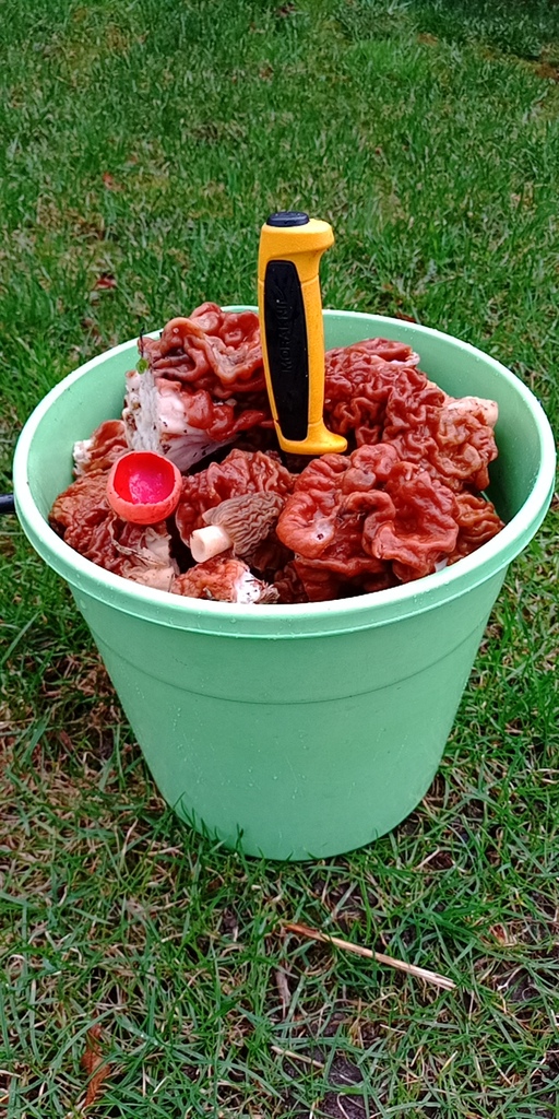 ������������� �����������