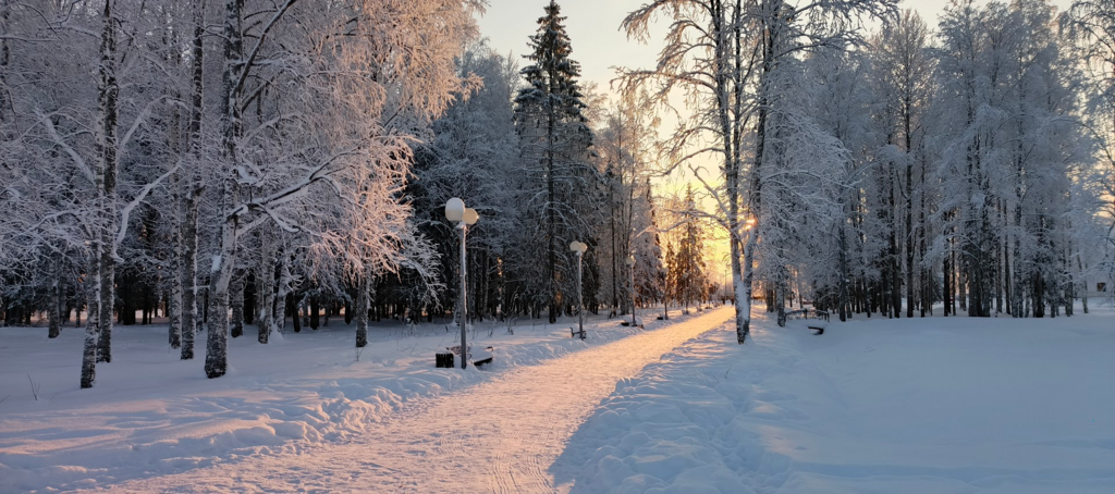 ������������� �����������