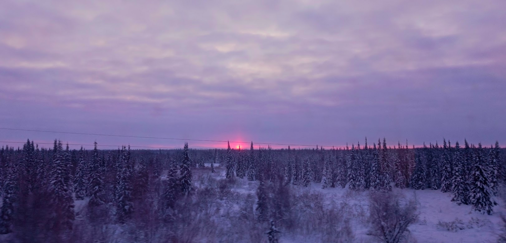 ������������� �����������