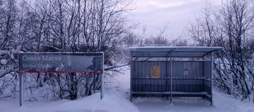 ������������� �����������