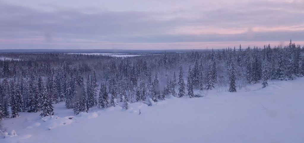 ������������� �����������