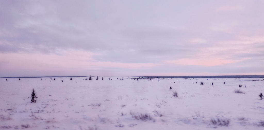 ������������� �����������