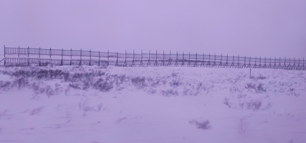 ������������� �����������