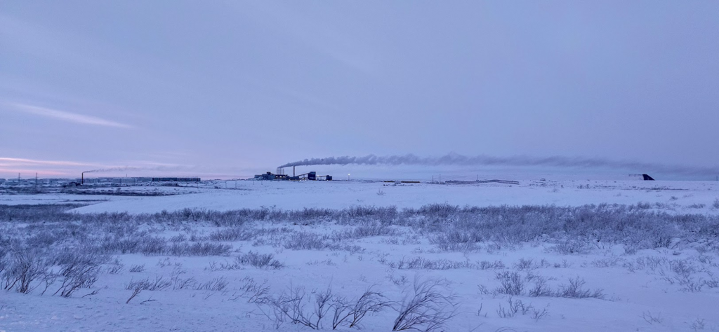 ������������� �����������