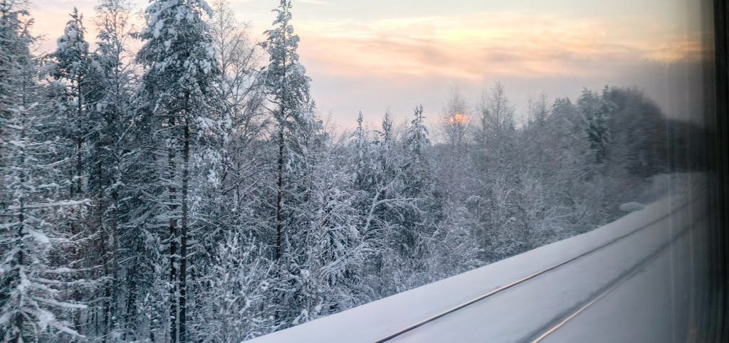 ������������� �����������