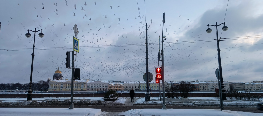 ������������� �����������