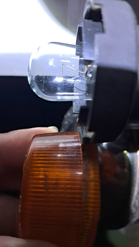 ������������� �����������