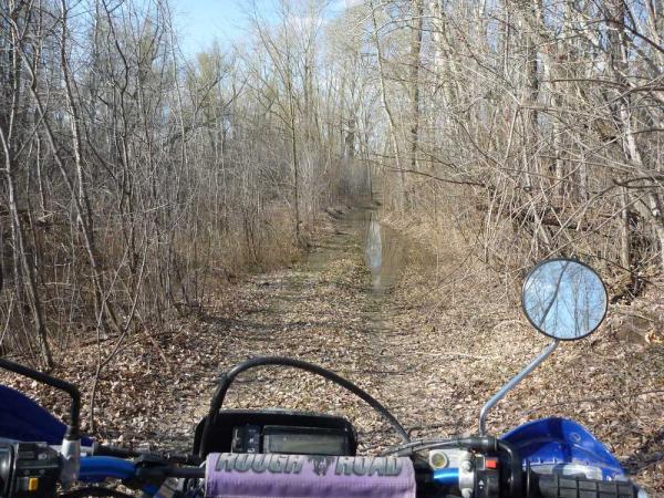 ������������� �����������