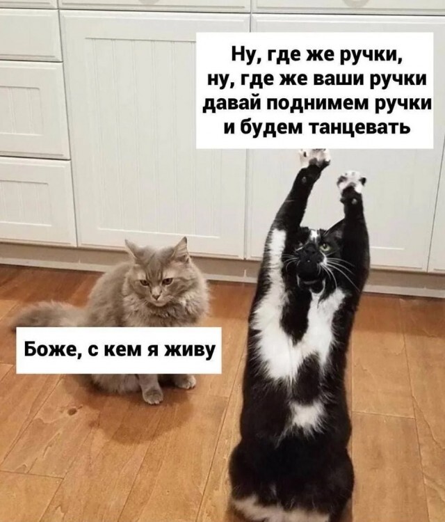 ������������� �����������