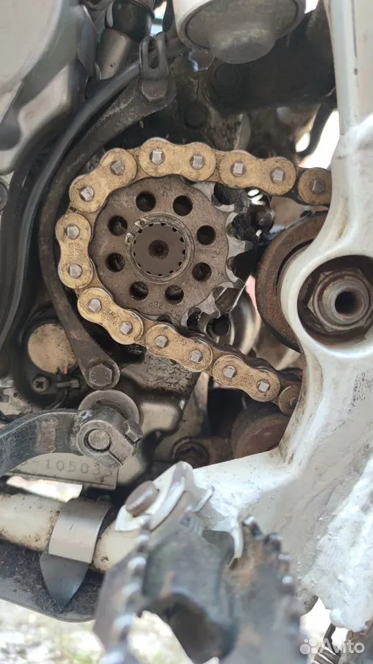 ������������� �����������