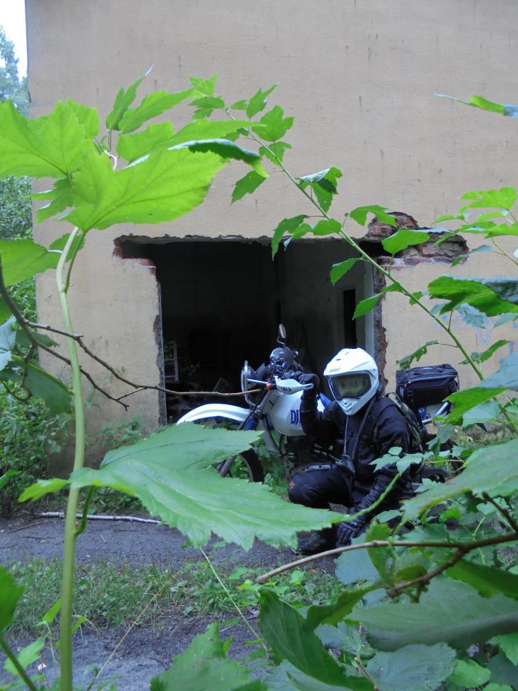 ������������� �����������