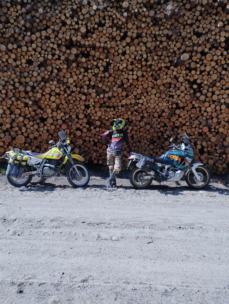 ������������� �����������