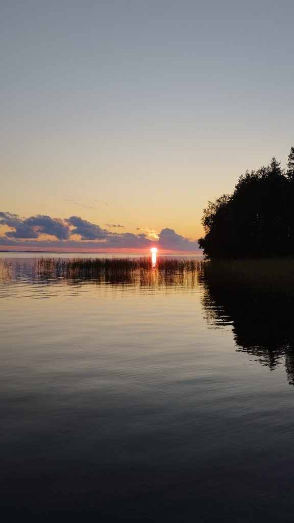 ������������� �����������