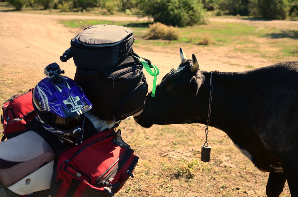 Прикрепленное изображение