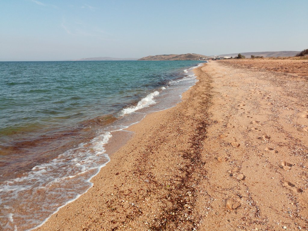 Прикрепленное изображение