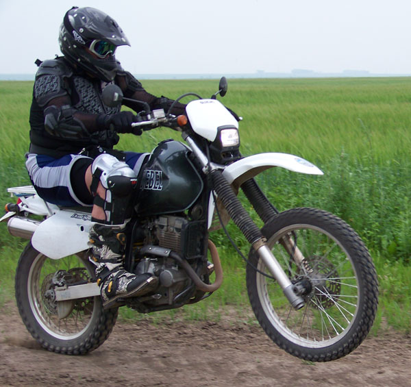 Джебель 200 Купить На Авито