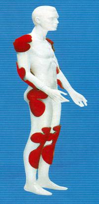 ������������� �����������