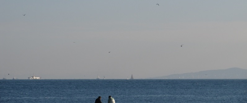 ������������� �����������