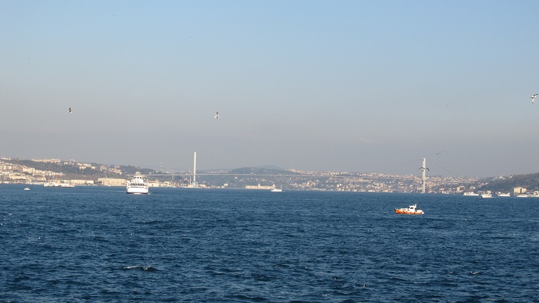 ������������� �����������