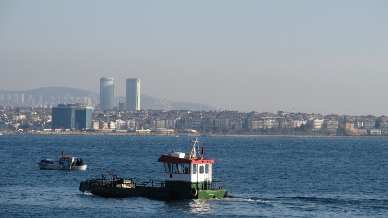 ������������� �����������