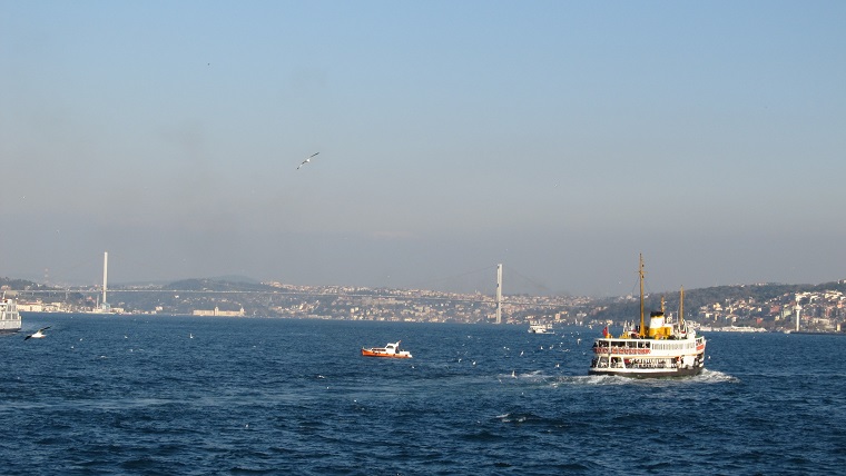 ������������� �����������