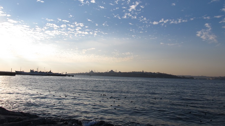 ������������� �����������