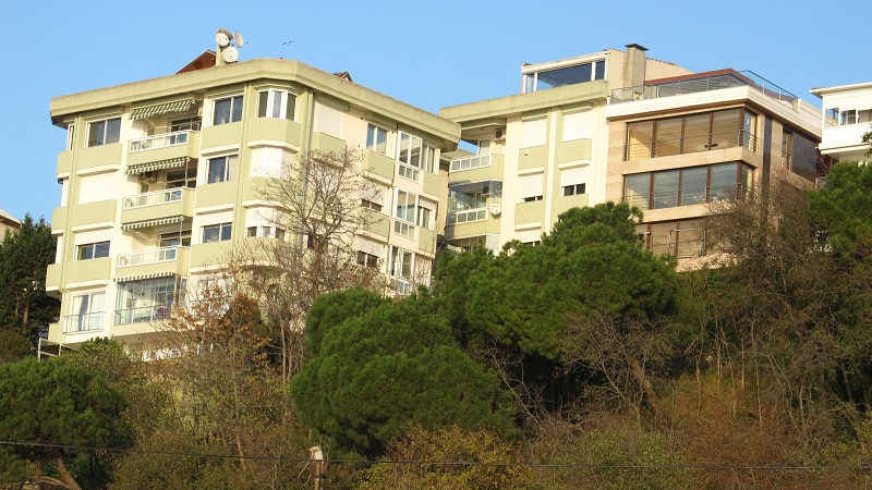 ������������� �����������