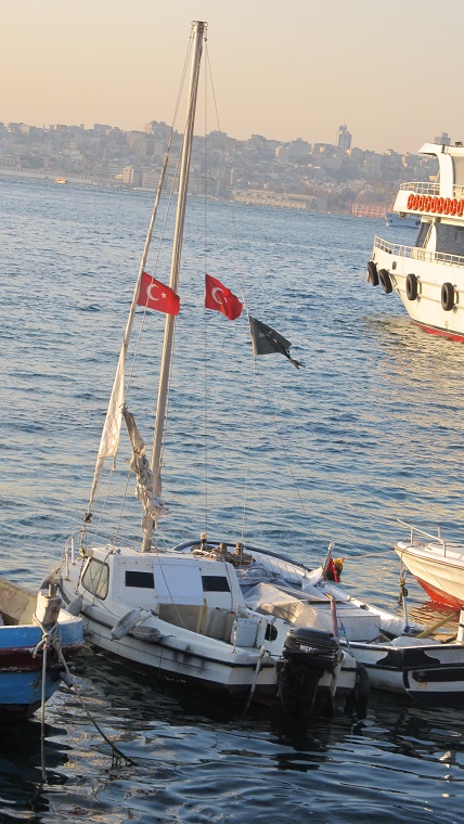 ������������� �����������