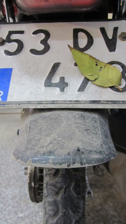 ������������� �����������