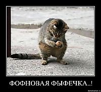 ������������� �����������