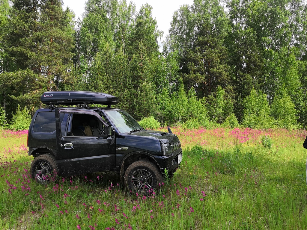 ������������� �����������