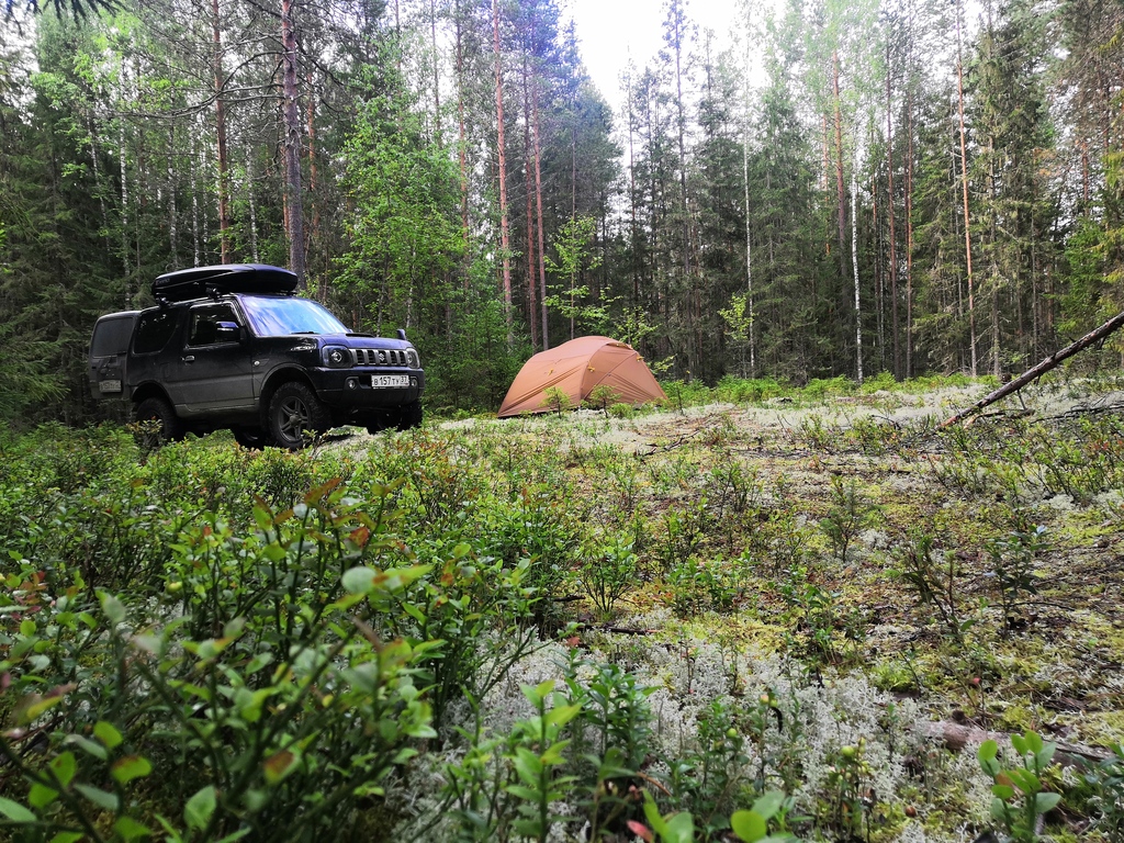 ������������� �����������